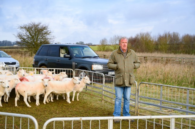 Jeremy Clarkson’s Diddly Squat farm raided by sheep rustlers