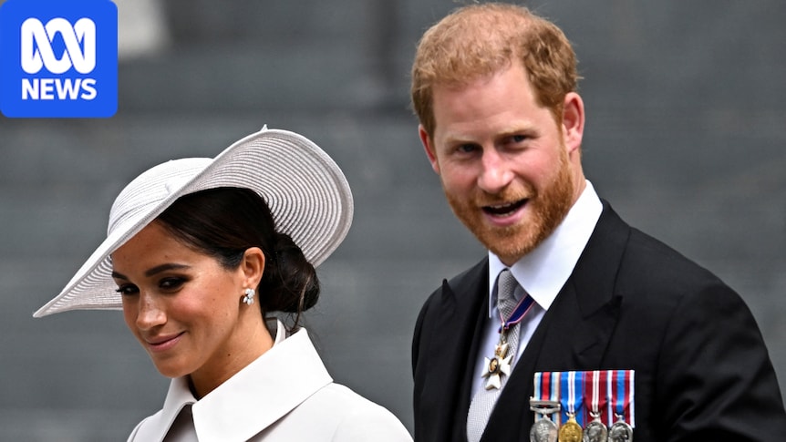 King clarifies Harry's status to government officials in unusual move