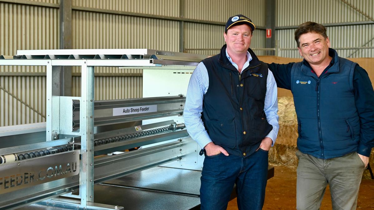Kojonup Agricultural Supplies becomes WA agent for The Shepherd Ag auto feeder off the back of strong demand