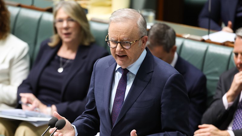 Labor dangles copyright deal to lure AI giants – but with a catch