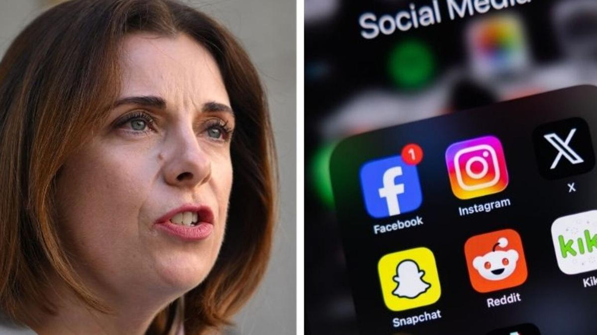 Labor offers to scale back ministerial power amid internet laws stand-off