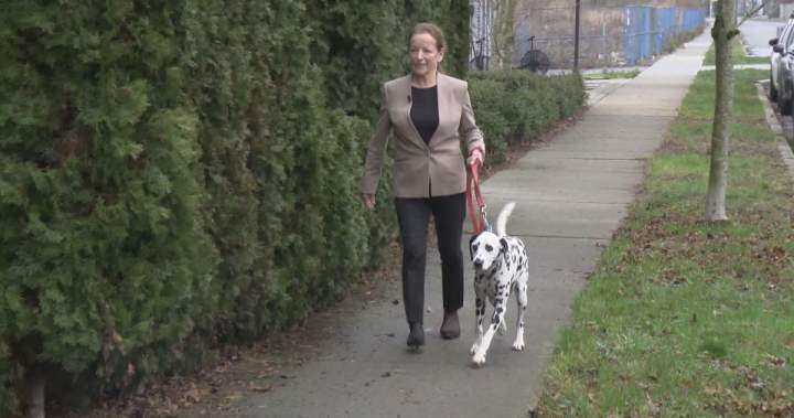 Lawsuit filed against Surrey councillor over dog-bite incident