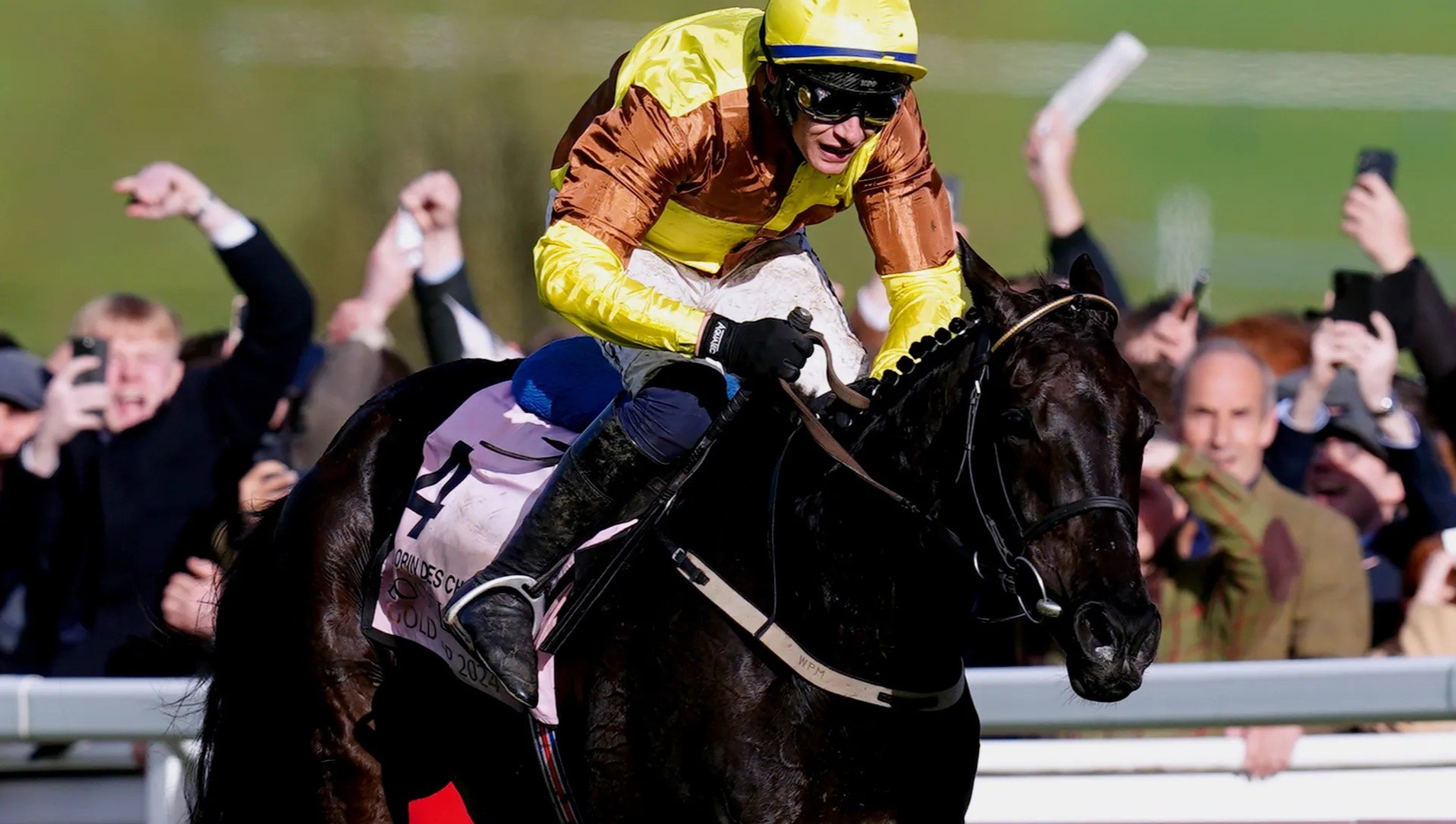 Legendary Gold Cup hero Galopin Des Champs dies just days after retiring as heartbroken Ruby Walsh leads tributes