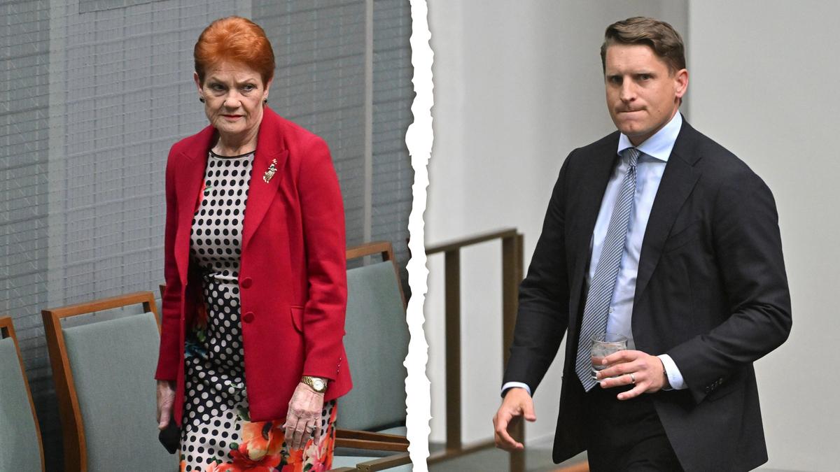 Liberal MP Andrew Hastie doubles down on One Nation fight; Pauline Hanson calls him a ‘wanker’