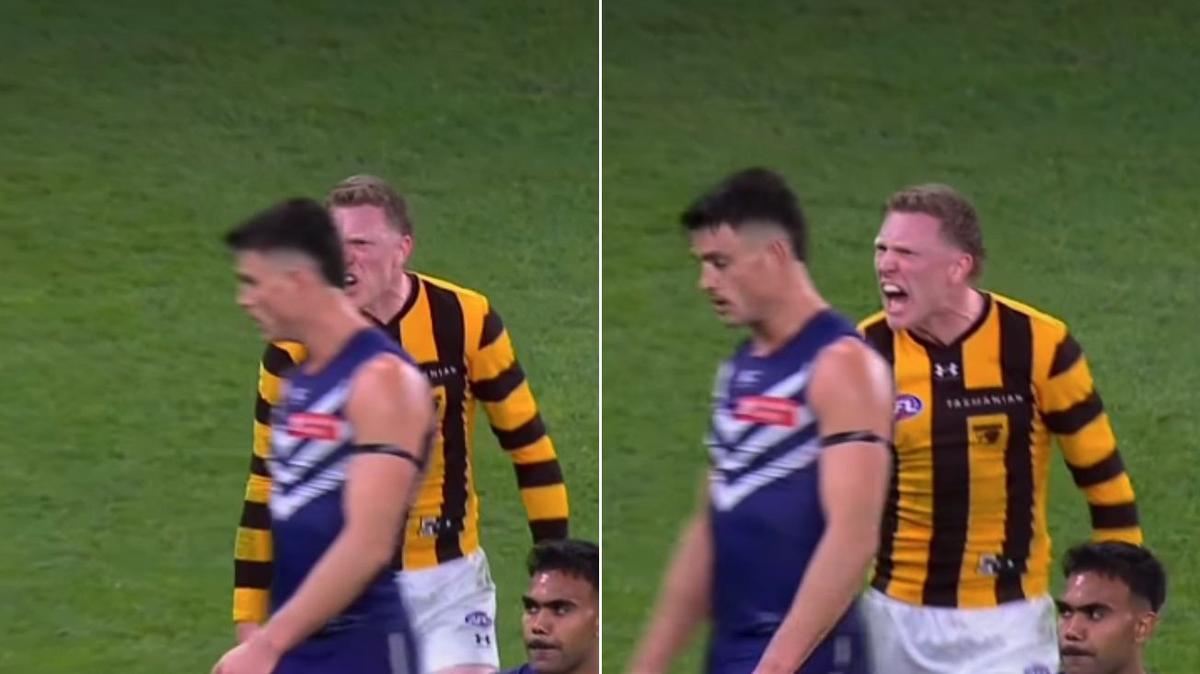 Lip readers go to work as Hawthorn skipper James Sicily’s sledge to Patrick Voss goes viral