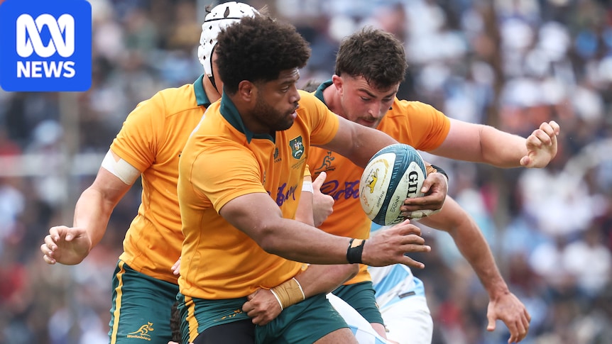 Live: Wallabies chase history against Pumas in Argentina