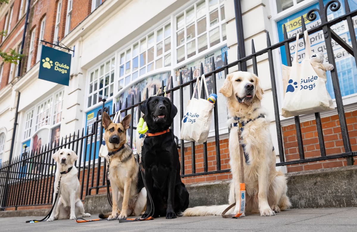 London's worst areas for dog noise complaints revealed - and one of them is Barking