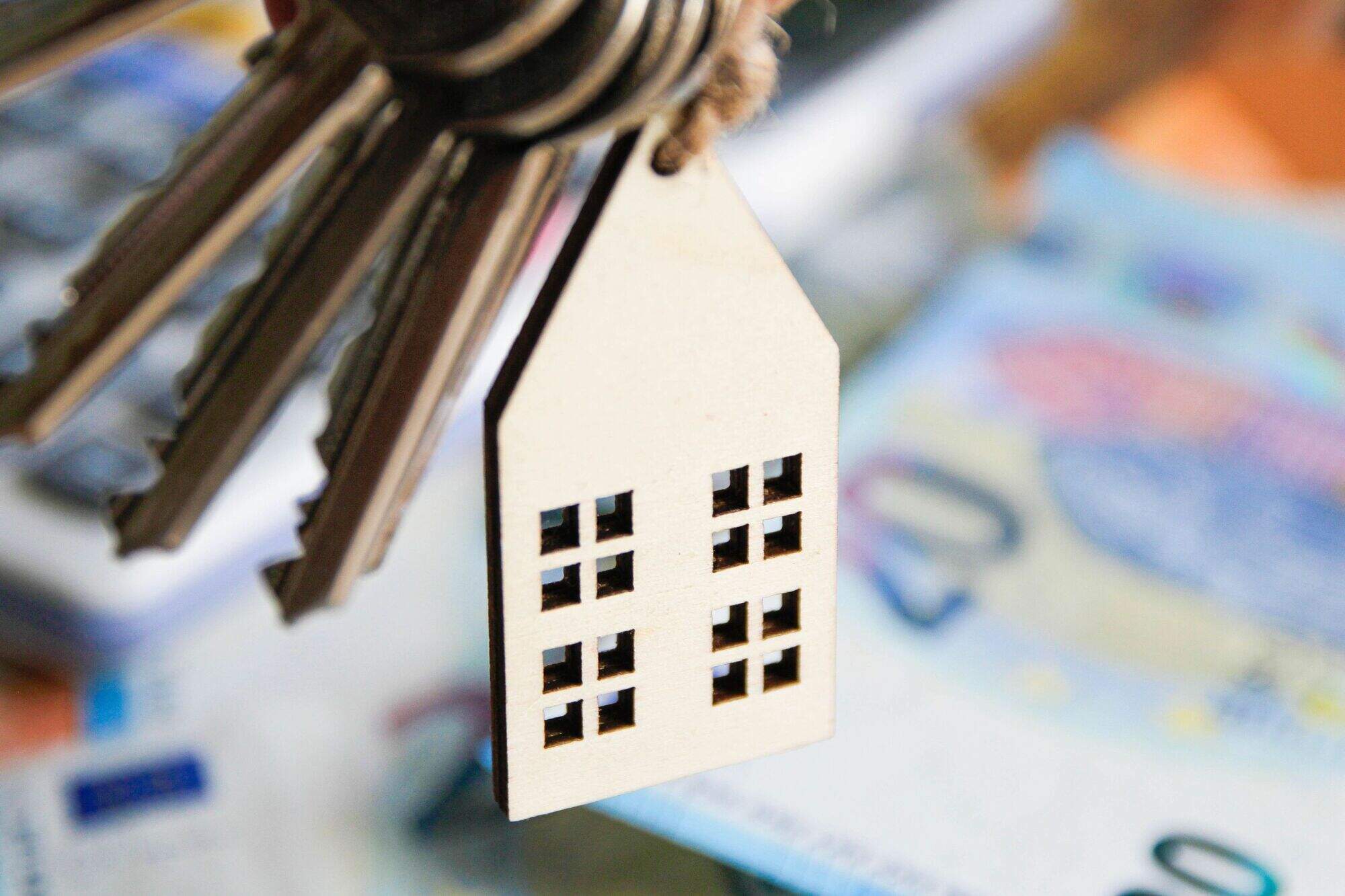 Louth councillors told 30pc of people on social housing waiting list are ‘non-Irish’