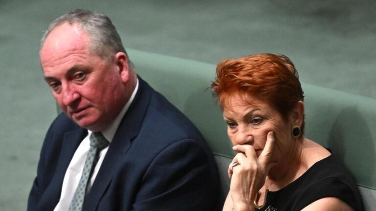 'Lying cowards': Liberal MP unloads on Hanson and Joyce