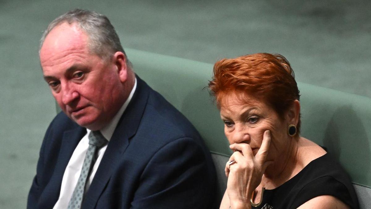 'Lying cowards': Liberal MP unloads on Hanson and Joyce