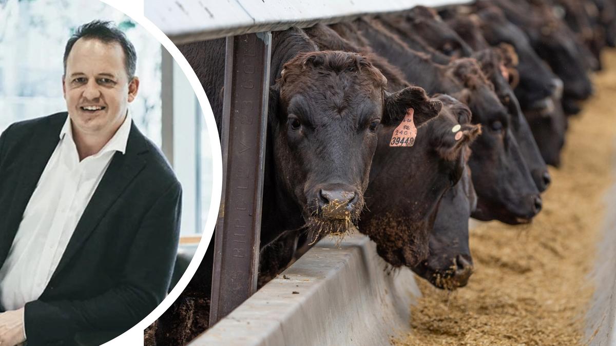 MLA introduces Chinese red meat industry leaders to WA as part of industry engagement initiative