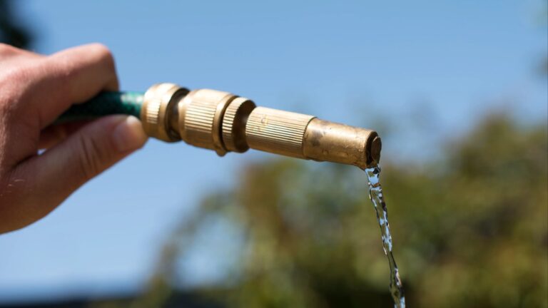 Major UK water supplier warns hosepipe ban may last until WINTER in blow to over 6million customers