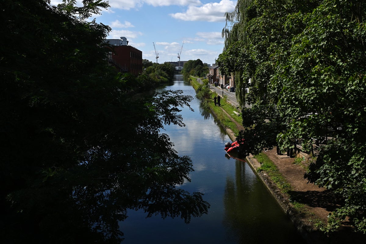 Man, 25 who died jumping in canal during police chase at Notting Hill Carnival named