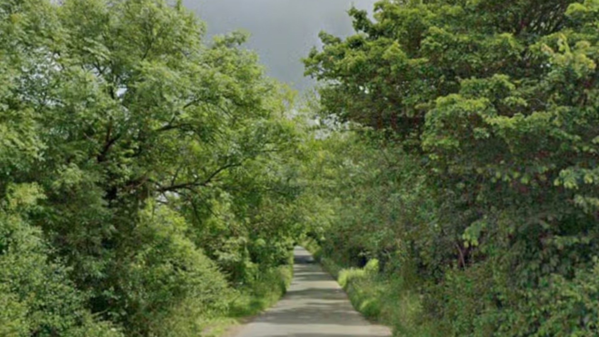 Man, 36, dies after car crashes into tree in Cotswolds
