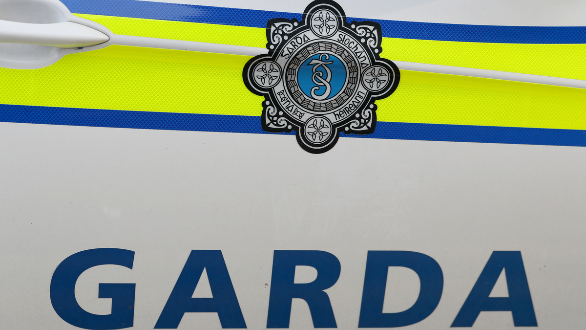 Man, 60s, arrested after public order incident at Ploughing Championships