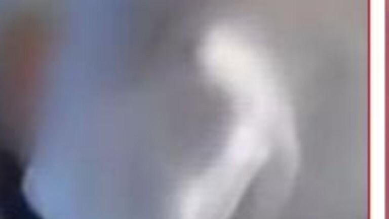 Man charged over alleged racist tirade directed at Sydney schoolgirl, 13,