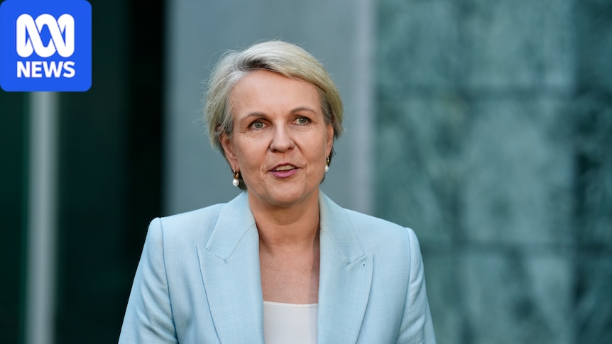 Man charged over alleged social media threat against federal minister
