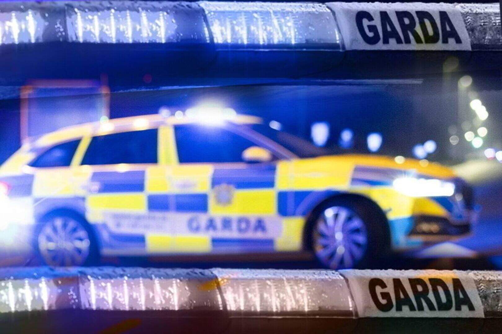 Man dies from ‘catastrophic’ injuries after being struck in head with shovel in Dublin business park brawl