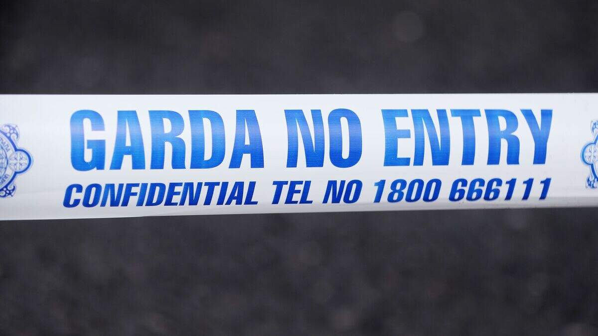 Man hospitalised after Ranelagh stabbing as gardaí probe link to fatal assault in business park