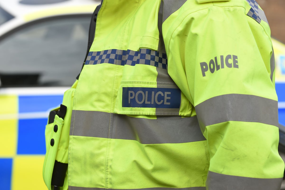 Man shot by police after woman stabbed in Luton home