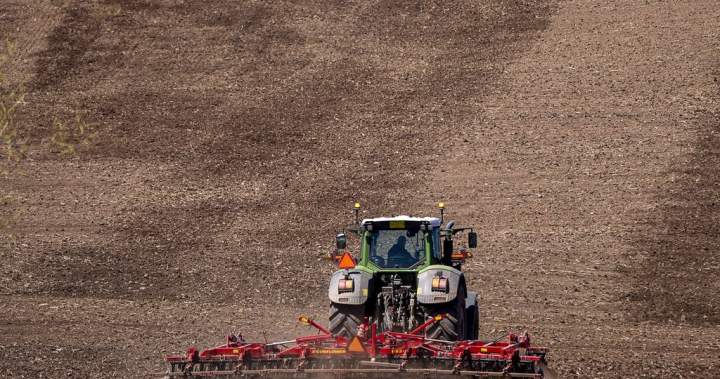 Maritime farmers hit by major drought last summer say they’re on the road to recovery