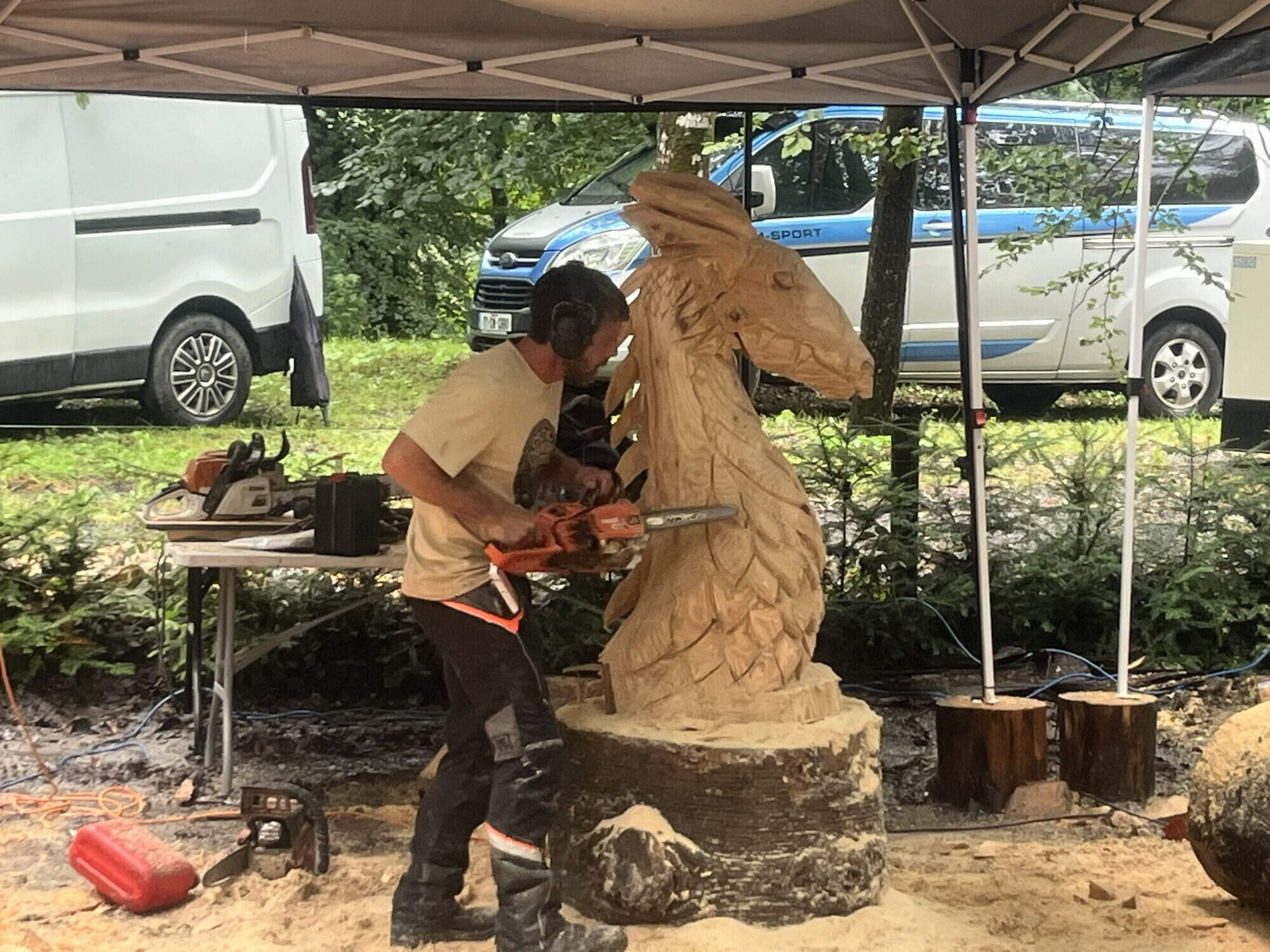 Master carvers and musicians showcase talents at Ireland’s Woodland Show in Kilkenny