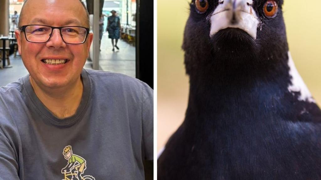 Meet the British ex-pat whose frightening magpie encounter sparked a one-man mission