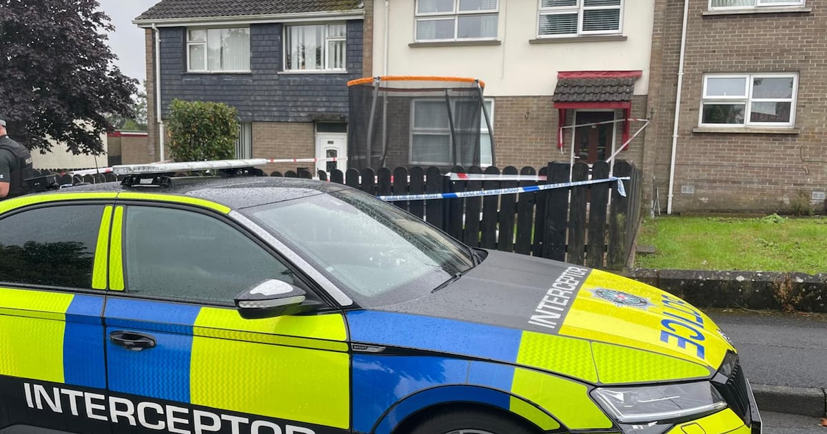 Mental health assessment to be carried out on boy (16) charged with Dungannon murder