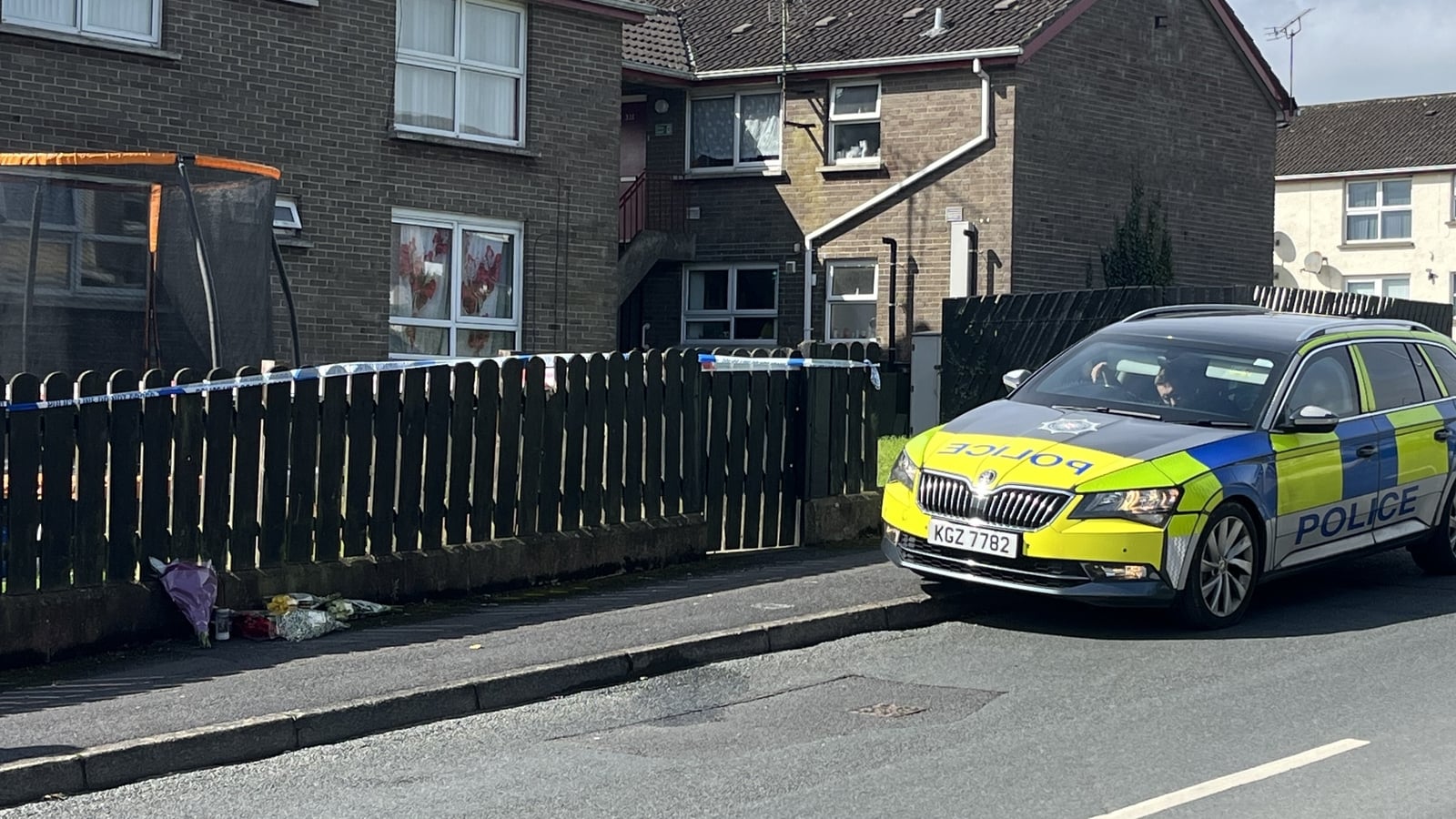 Mental health order for teen charged over Tyrone murder