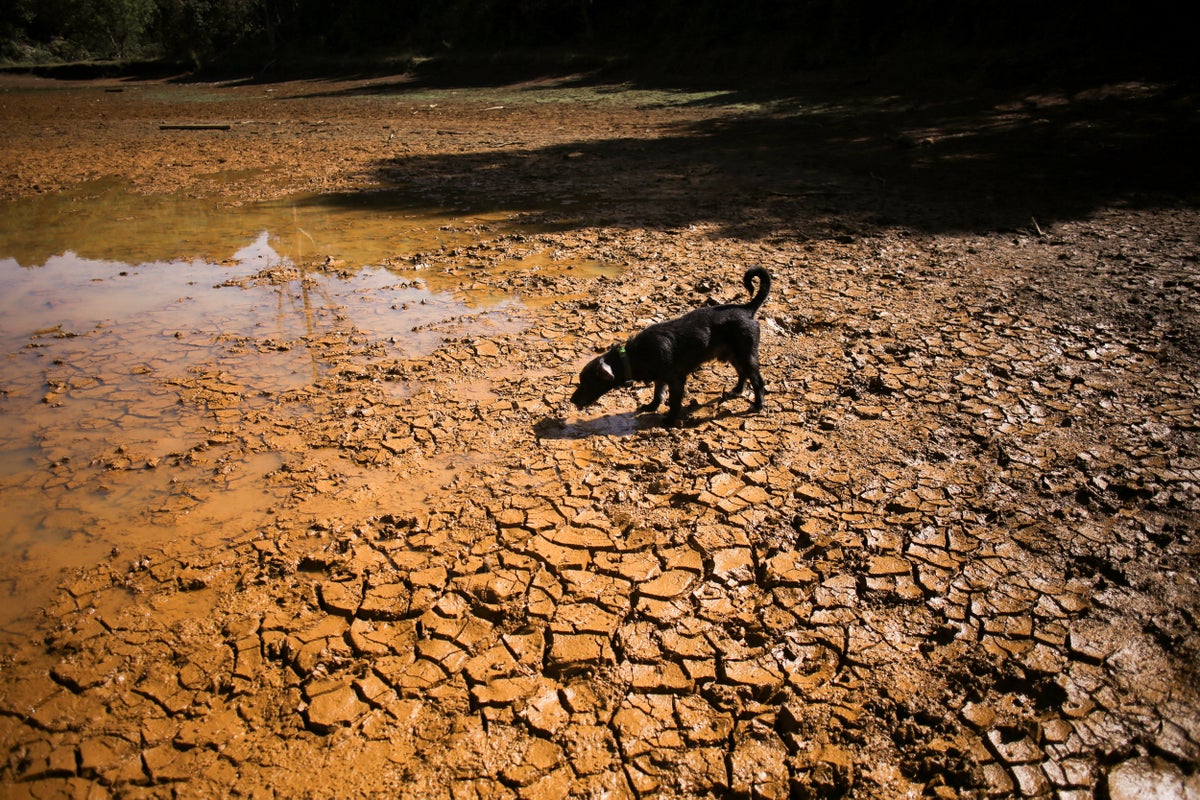 Minister urges Britons to stock up on food and water after El Nino extreme weather warning