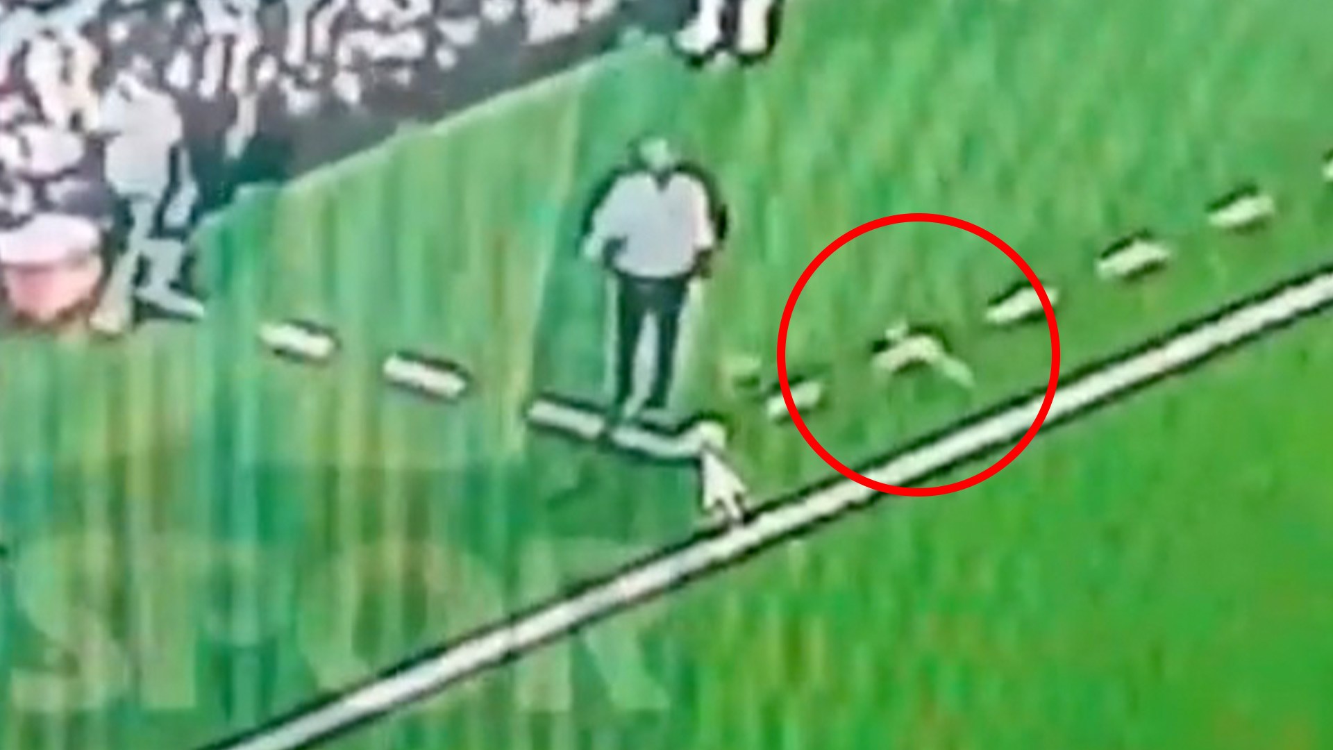 Moment Fenerbahce boss is hit by BOTTLE from stands ‘causing him to quit’ as president vows not to accept resignation