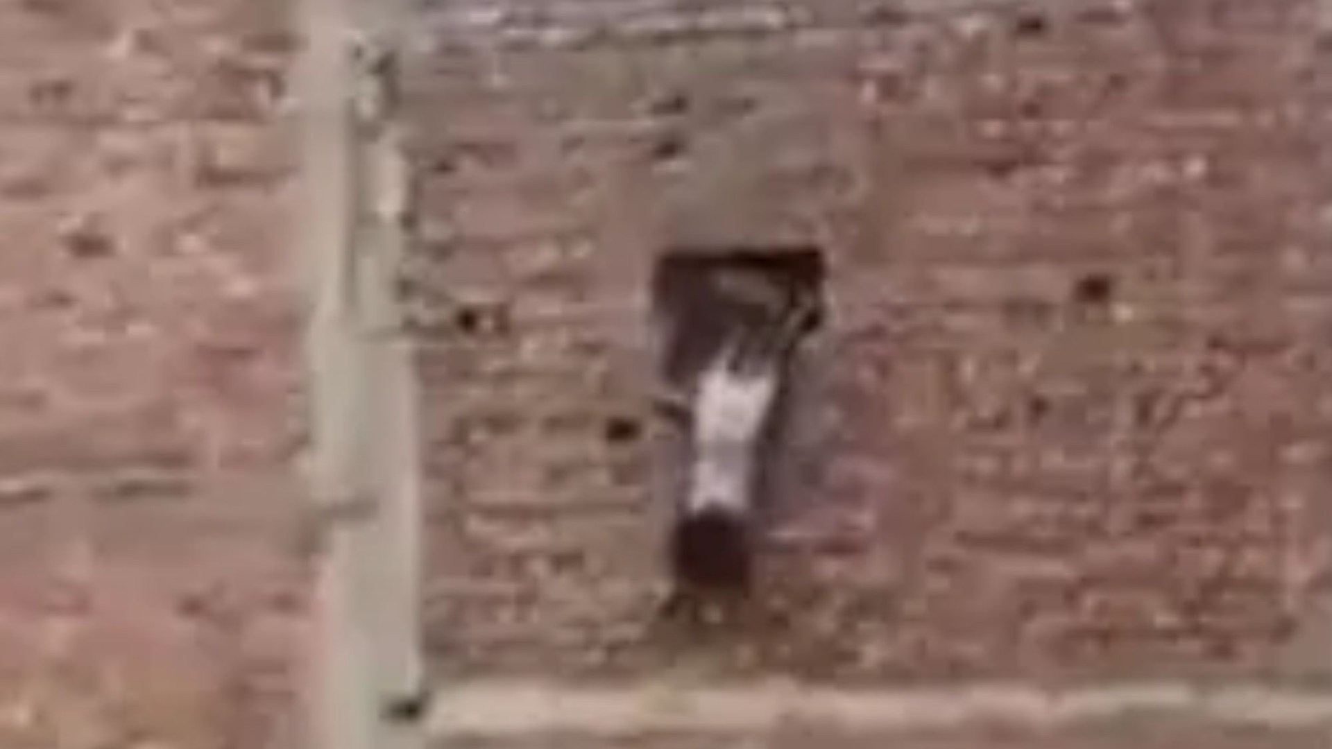 Moment people jump from third-floor window as factory goes up in flames & six including 3 kids rushed to hospital
