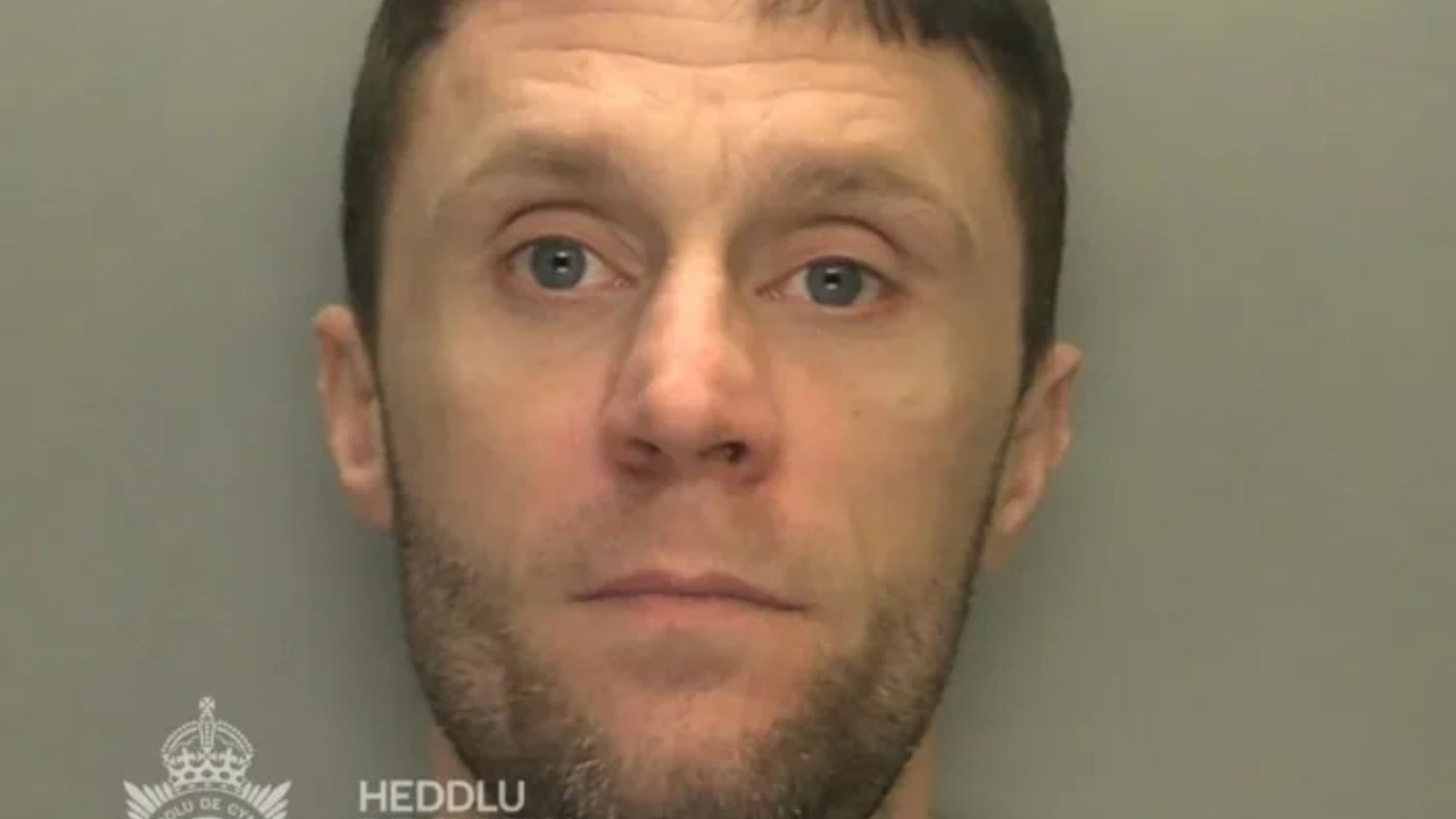 Moment police ram driver, 35, off road and cuff him after 3 week ‘crime spree’ saw thief steal cars, coffee & whiskey