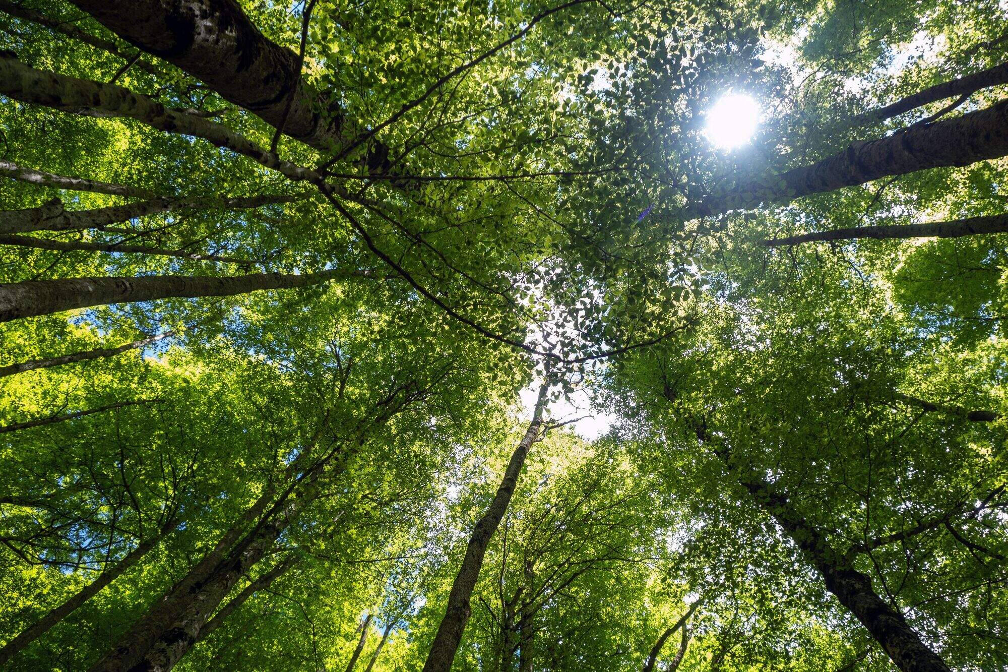 More than €1.4m to fund Wicklow community projects under climate action fund