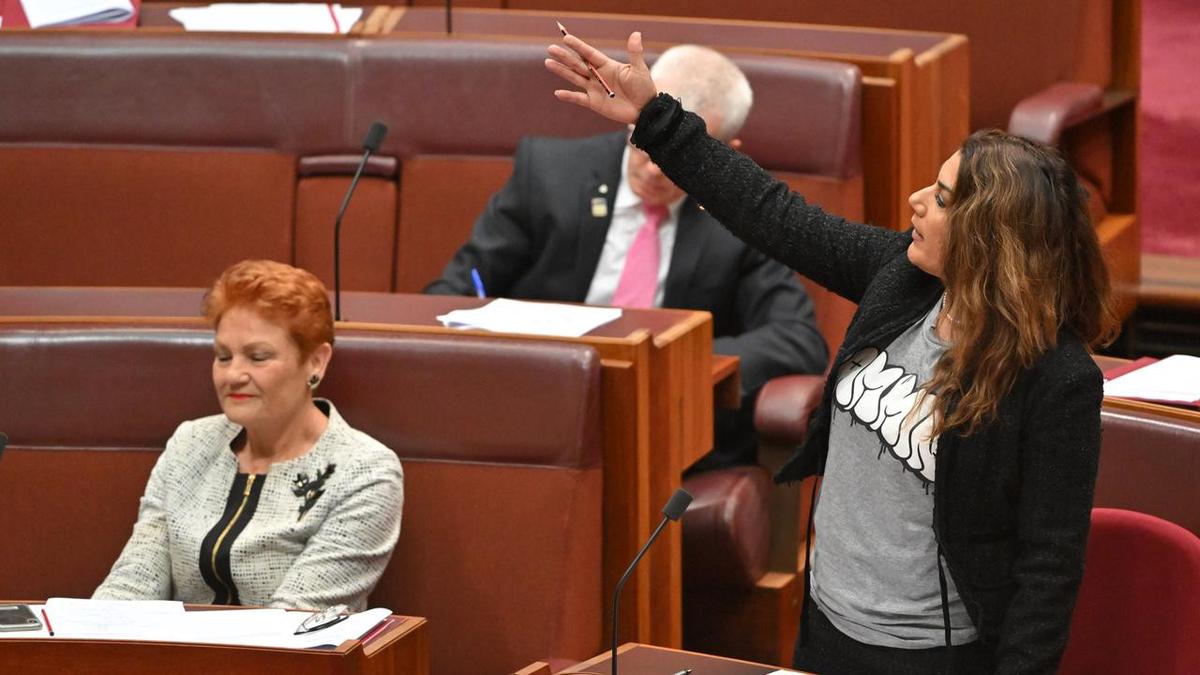 'Most primitive': Hanson blasted for Indigenous slur