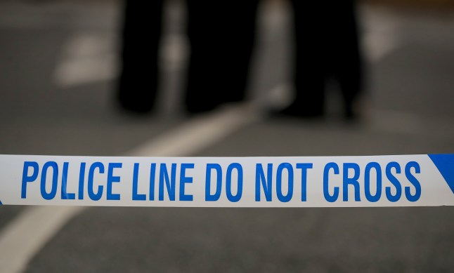 Murder investigation launched after man dies from severe head injuries in south London