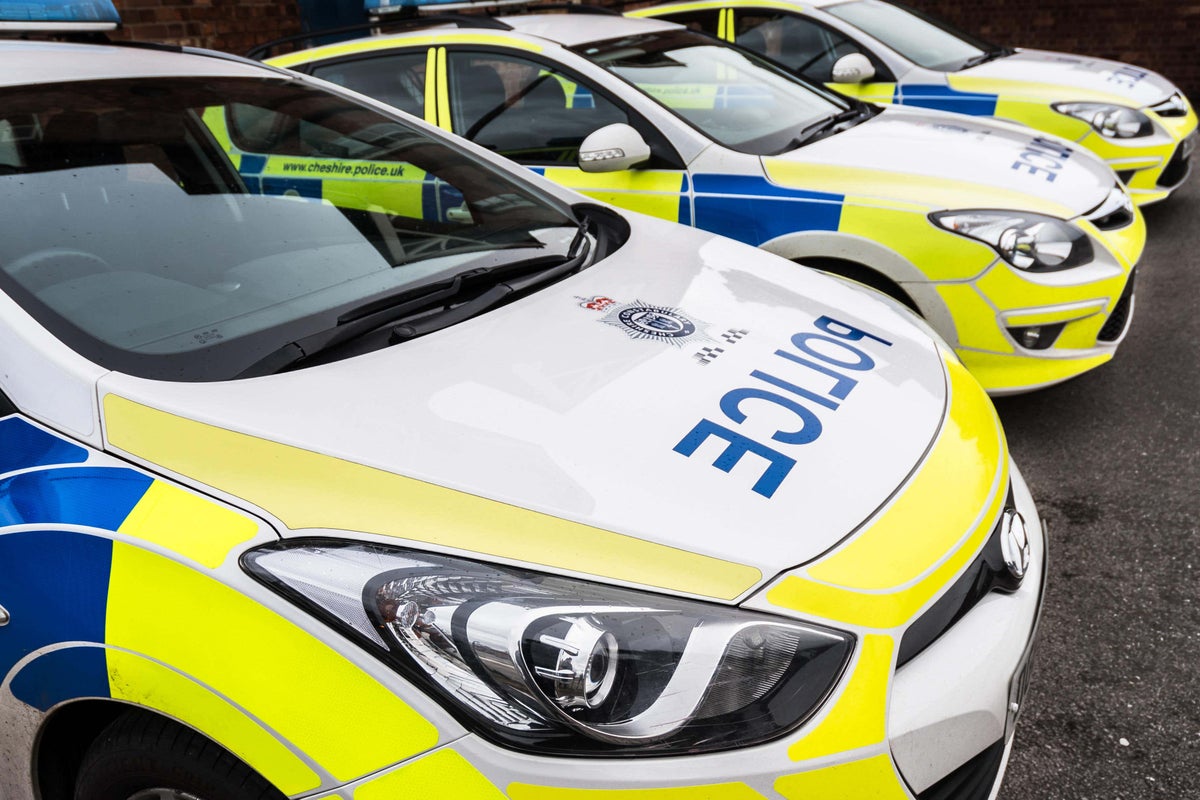 Murder investigation launched after man dies with head injuries in south London
