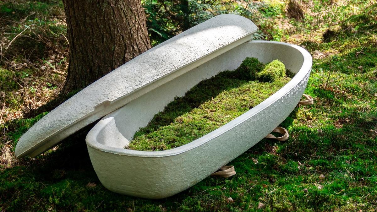 Mushroom coffin Australia: Loop Living Cocoon creates mushroom coffin used in Blue Mountains funeral