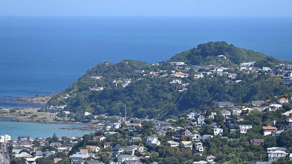 NZ to allow wealthy migrants to build rental housing