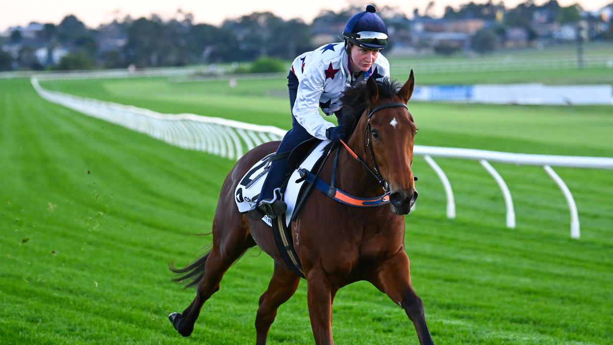 Natural Fling out to prove inexperience is no object as flying filly attempts big test in Group 1 Moir Stakes