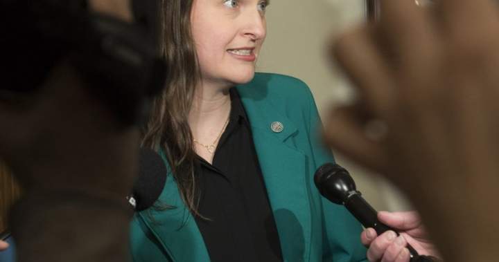 New Brunswick lawmaker Megan Mitton announces bid to lead provincial Green Party