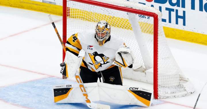 New Winnipeg goalie Skinner excited to be a Jet