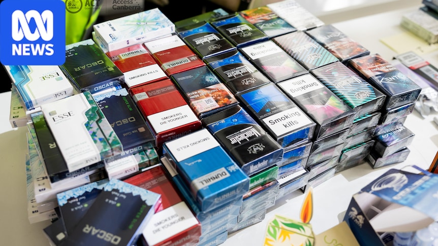 New laws aim to make black market tobacco easier to prosecute