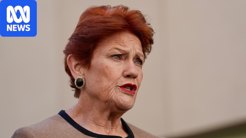 'No face-to-face meeting': Former One Nation candidate questions vetting process