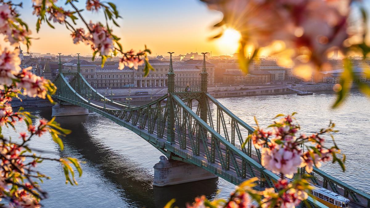 No itinerary required