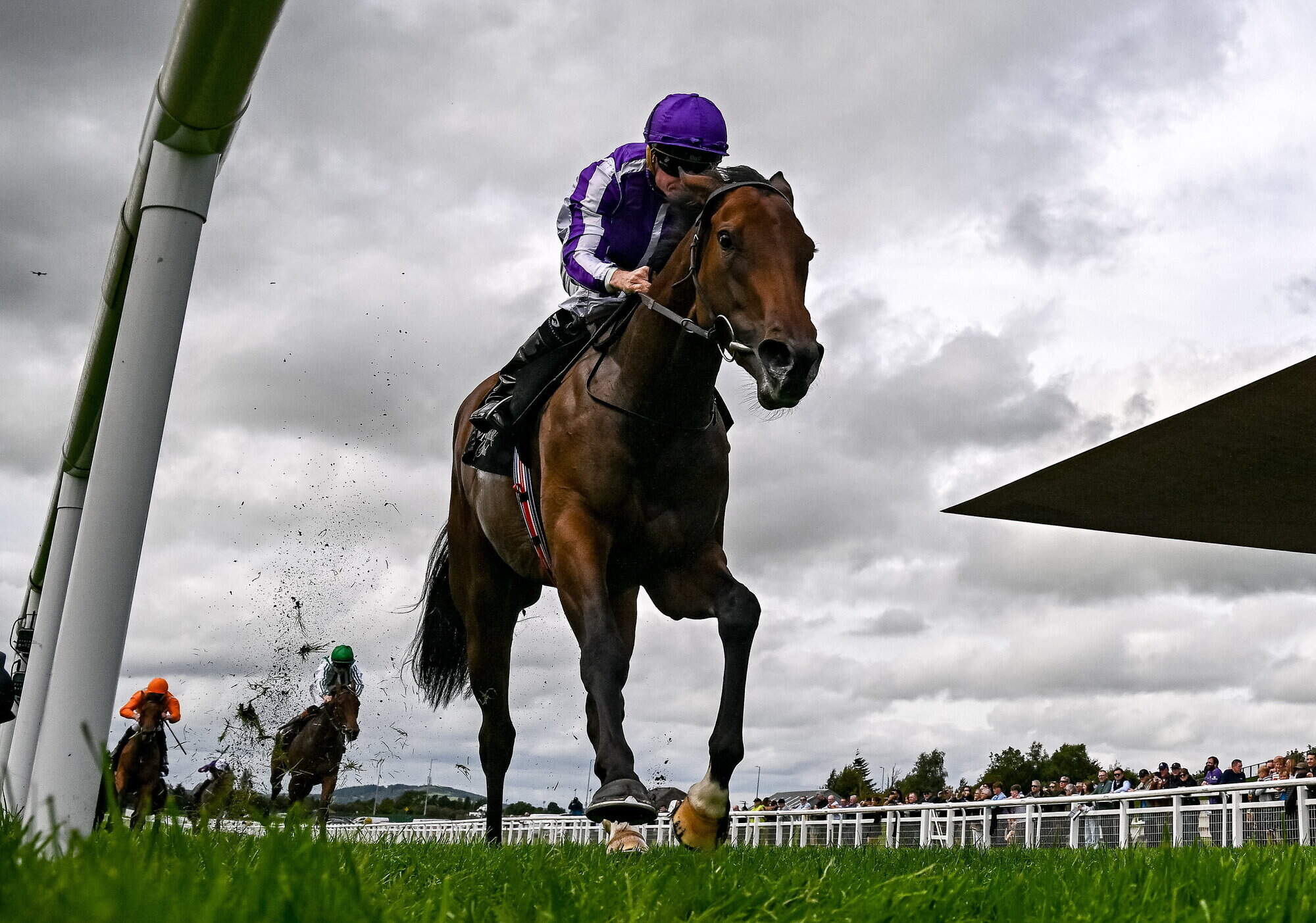 O'Brien clan to the fore on Day 2 of Champions Weekend as Sun Goddess shines once more with impressive victory
