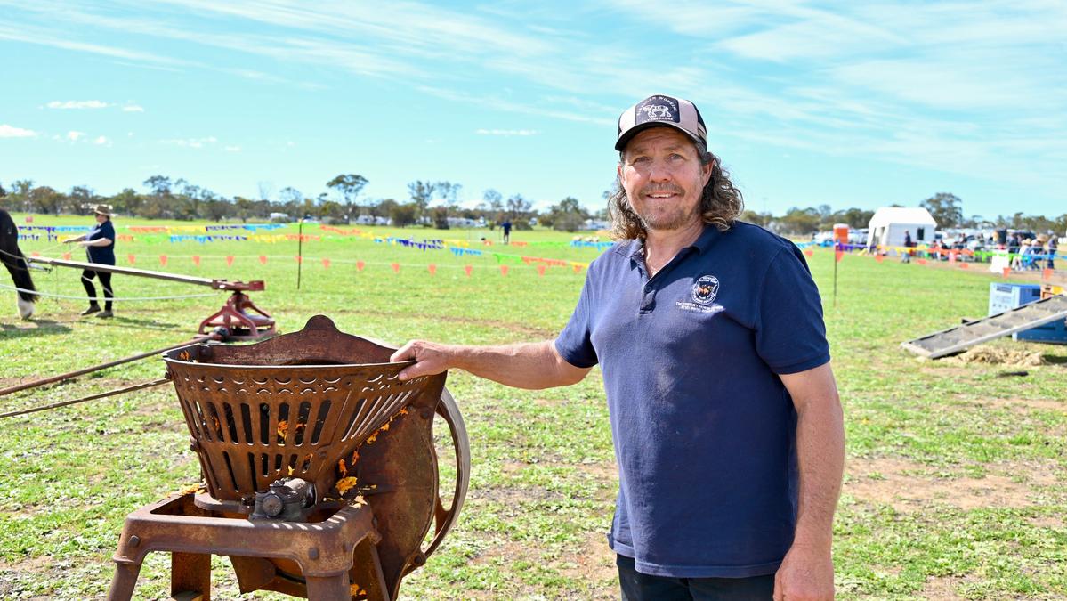Old-fashioned horsepower on display at Dowerin Machinery Field Days