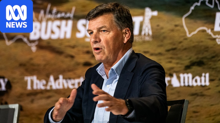 One Nation, Coalition bank on cheap cigarettes being uncool