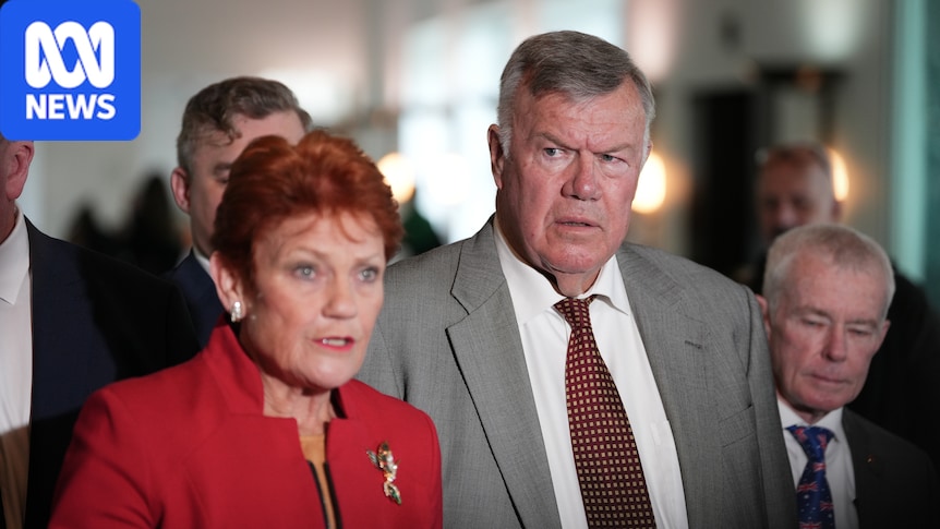 One Nation MP open to slashing family visas
