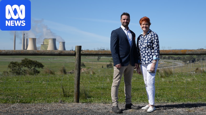One Nation candidate pleads guilty in court to health code violation